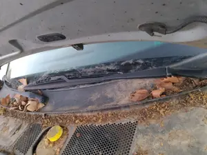 Foto de MOTOR LIMPIA DELANTERO VOLKSWAGEN PASSAT BERLINA (3B3) 1.9 TDI (131 CV / 96 KW) referencia 3B1955113D foto 2