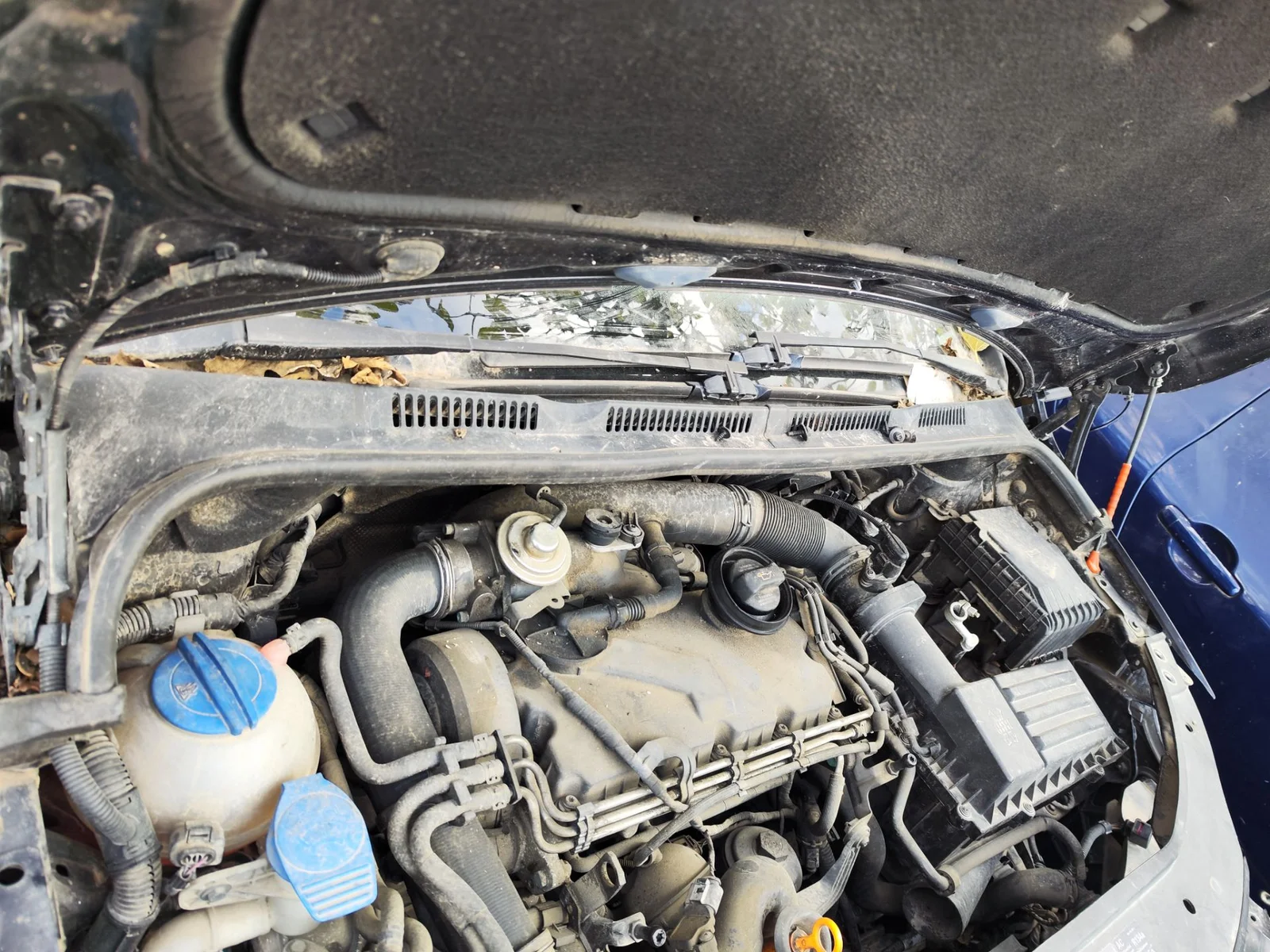 Foto de TORPEDO VOLKSWAGEN GOLF PLUS V (5M1) 1.9 TDI (105 CV / 77 KW)