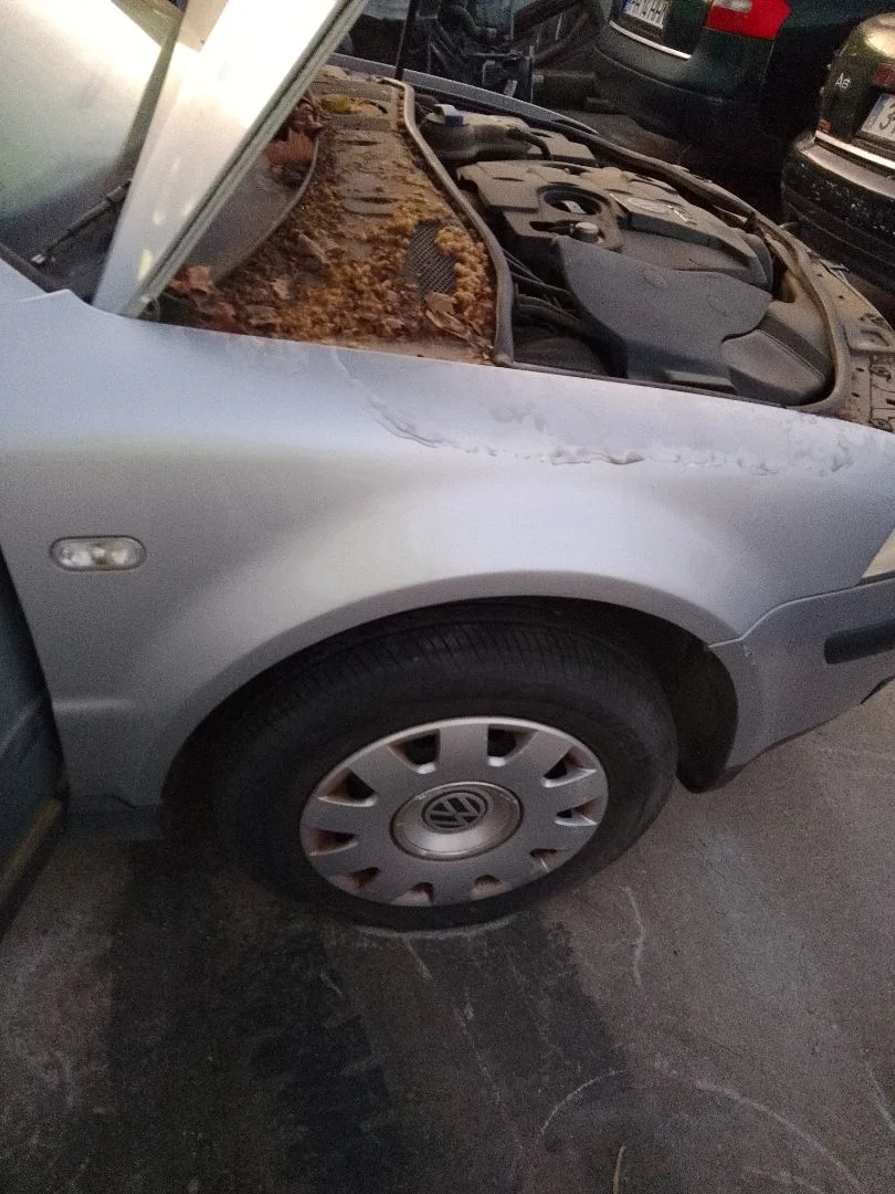 Foto de ALETA DELANTERA DERECHA VOLKSWAGEN PASSAT BERLINA (3B3) 1.9 TDI (131 CV / 96 KW)