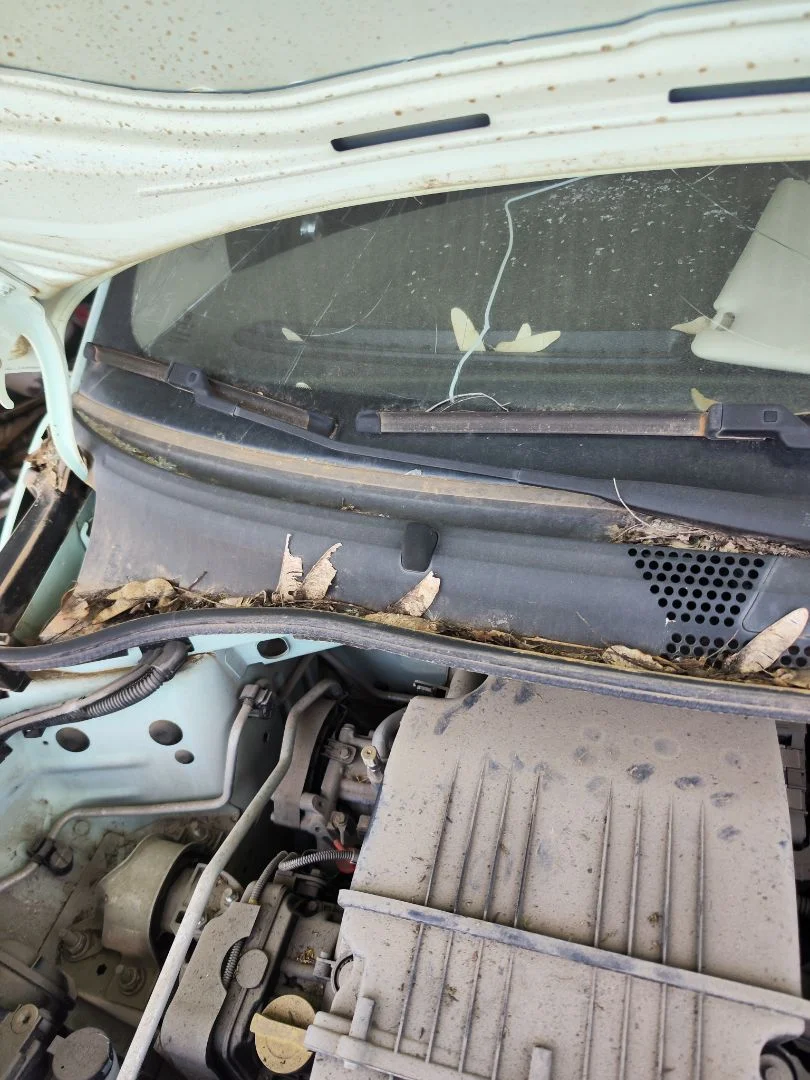 Foto de BRAZO LIMPIA DELANTERO DERECHO FIAT 500 (150) BERLINA 1.2 CAT (69 CV / 51 KW) referencia 0735453762