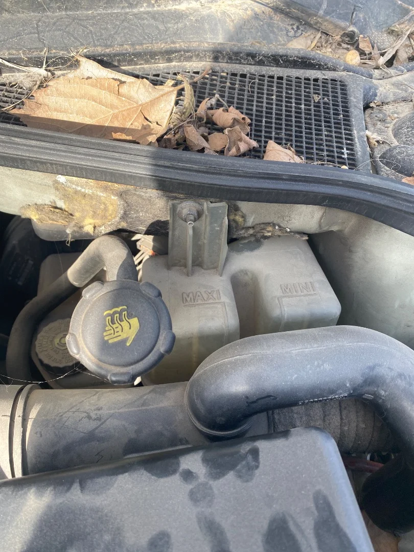 Foto de DEPOSITO EXPANSION RENAULT LAGUNA II (BG0) 2.0 (135 CV / 99 KW) referencia 8200447047