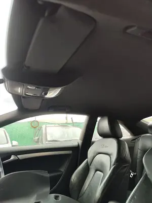 Foto de TECHO INTERIOR AUDI A5 COUPE (8T) 2.0 16V TDI (170 CV / 125 KW) referencia 8T0867501  V48