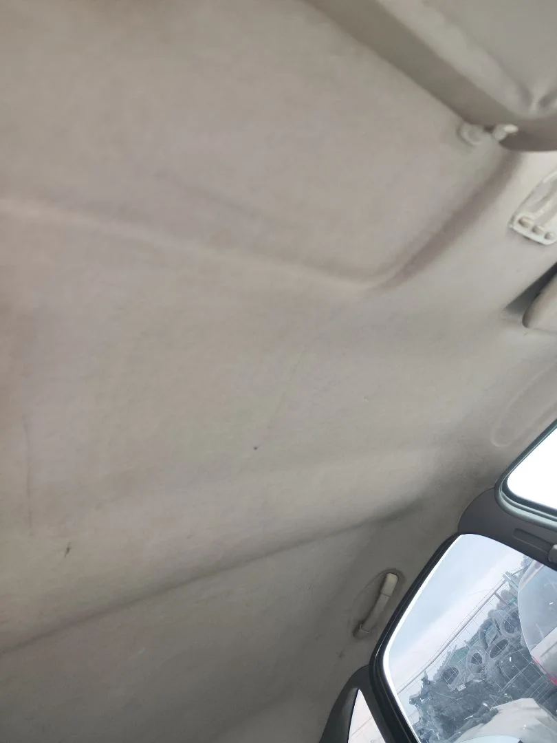 Foto de TECHO INTERIOR CITROEN XSARA PICASSO 2.0 HDi CAT (RHY / DW10TD) (90 CV / 66 KW)