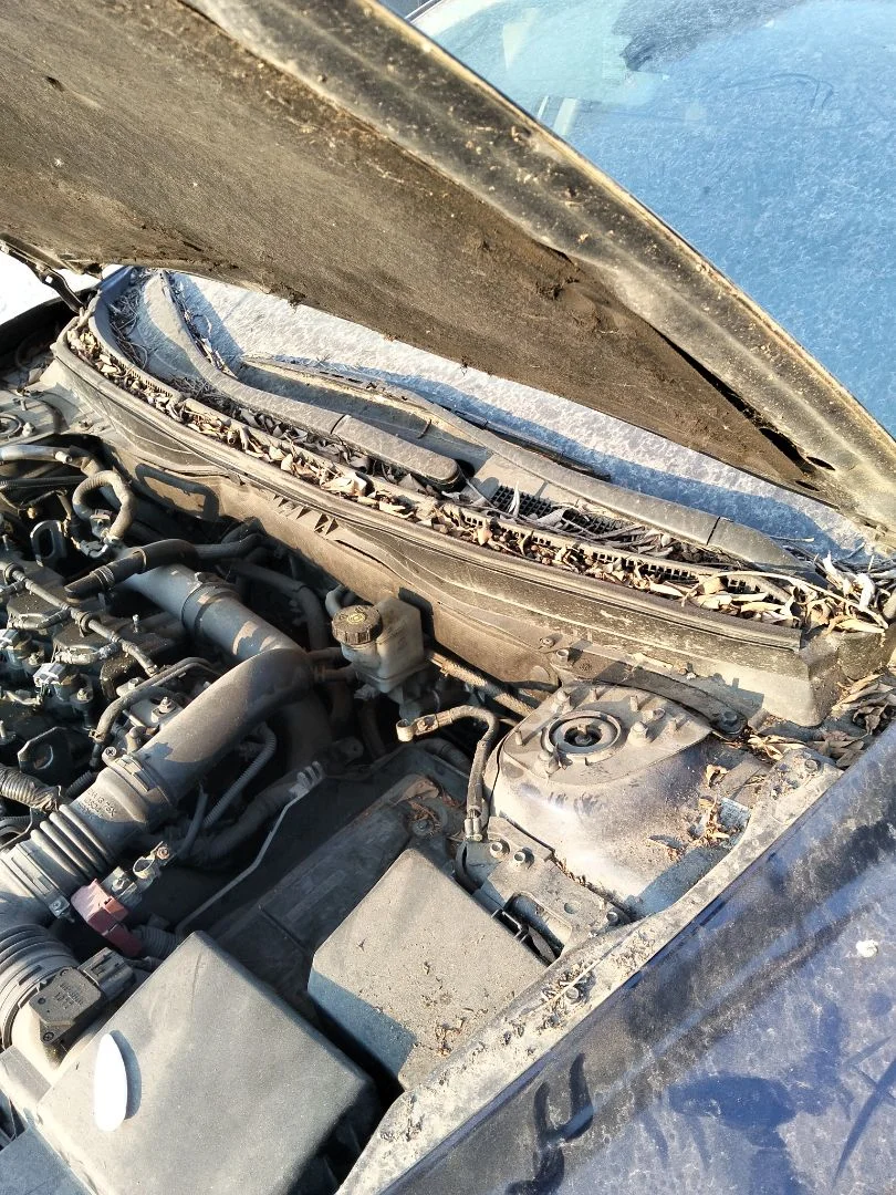 Foto de ARTICULACION LIMPIA DELANTERA MAZDA 6 BERLINA (GH) 2.2 Turbodiesel CAT (163 CV / 120 KW)