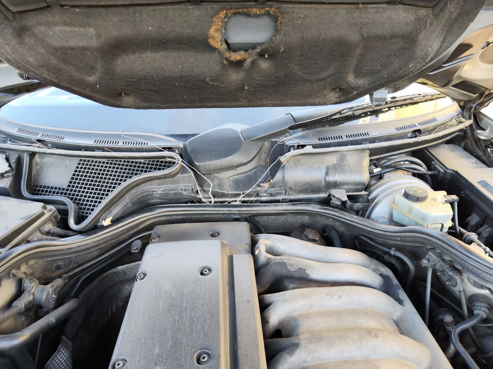 Foto de BRAZO LIMPIA DELANTERO DERECHO MERCEDES-BENZ CLASE E (BM 210) BERLINA 3.0 Turbodiesel CAT (177 CV / 130 KW)