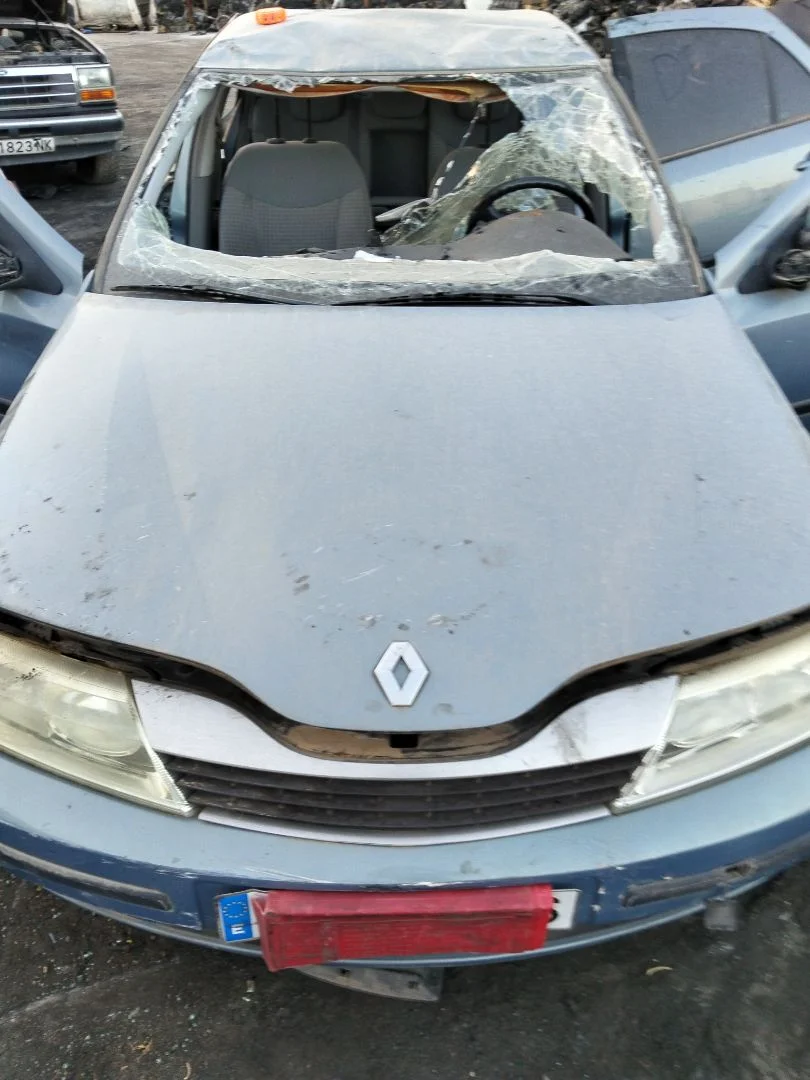 Foto de CAPO RENAULT LAGUNA II (BG0) 1.9 dCi Diesel CAT (101 CV / 74 KW) referencia 7751475999