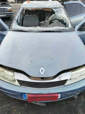 Foto de CAPO RENAULT LAGUNA II (BG0) 1.9 dCi Diesel CAT (101 CV / 74 KW) referencia 7751475999
