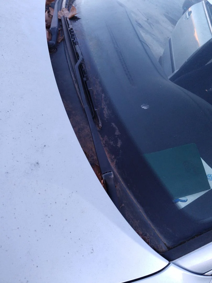 Foto de BRAZO LIMPIA DELANTERO IZQUIERDO VOLKSWAGEN PASSAT BERLINA (3B3) 1.9 TDI (131 CV / 96 KW)