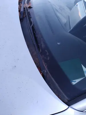 Foto de BRAZO LIMPIA DELANTERO IZQUIERDO VOLKSWAGEN PASSAT BERLINA (3B3) 1.9 TDI (131 CV / 96 KW)