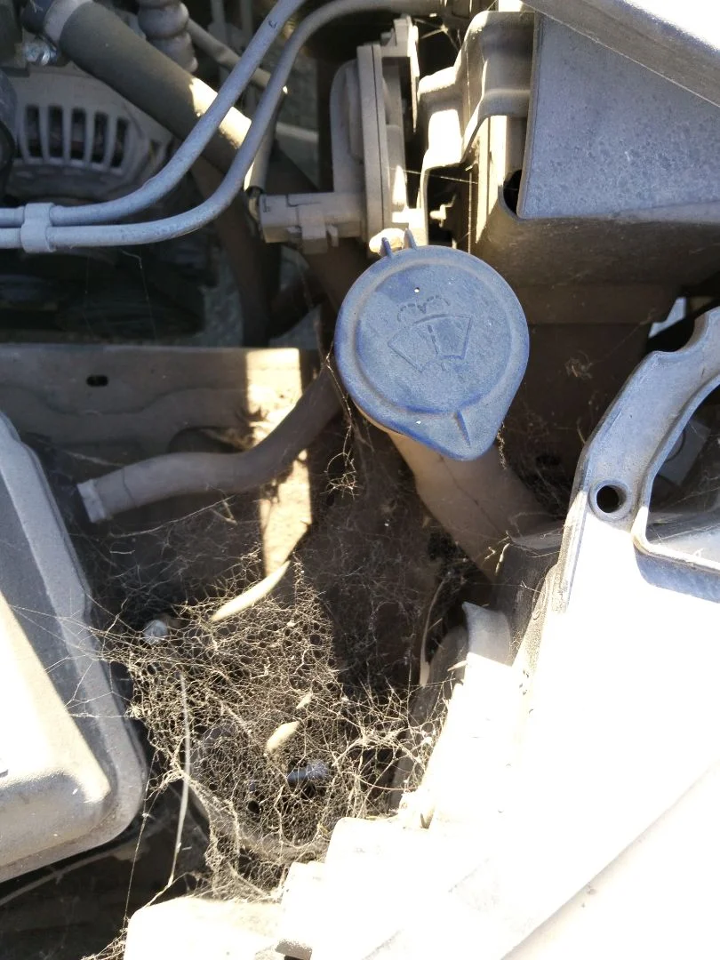 Foto de DEPOSITO LIMPIA PEUGEOT 407 1.6 HDi FAP CAT (9HZ / DV6TED4) (109 CV / 80 KW) referencia 6431E6