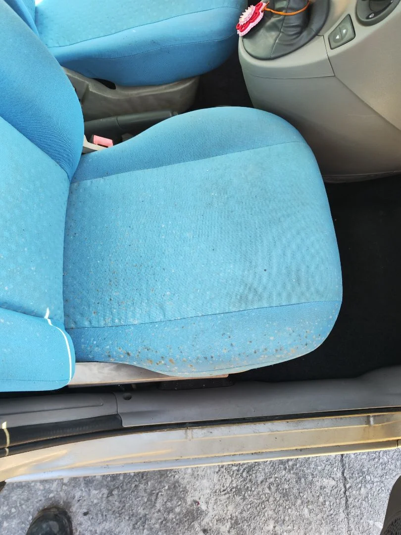 Foto de ASIENTO DELANTERO DERECHO FIAT II PANDA (169) 1.2 CAT (60 CV / 44 KW)