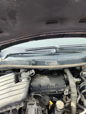 Foto de BRAZO LIMPIA DELANTERO DERECHO VOLKSWAGEN SHARAN (7M6/7M9) 1.9 TDI (116 CV / 85 KW) referencia 7M3955410C