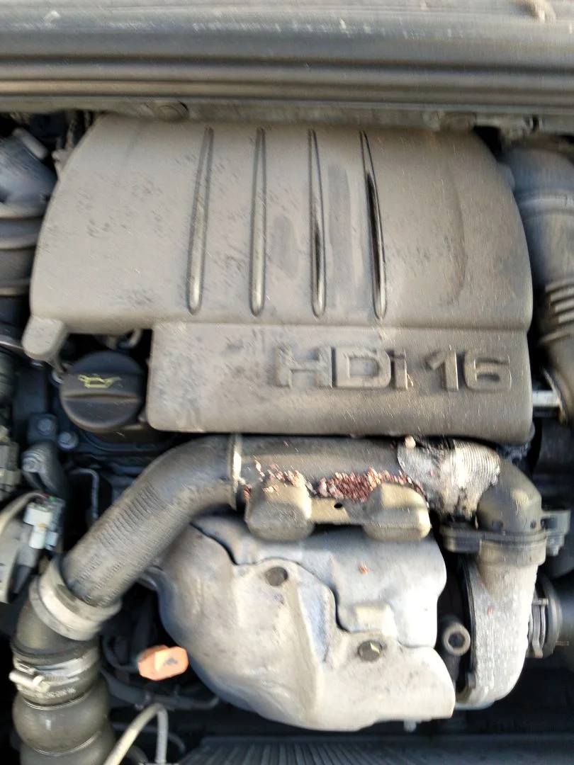 Foto de TAPA MOTOR PEUGEOT 308 SW 1.6 HDi FAP CAT (9HZ / DV6TED4) (109 CV / 80 KW)