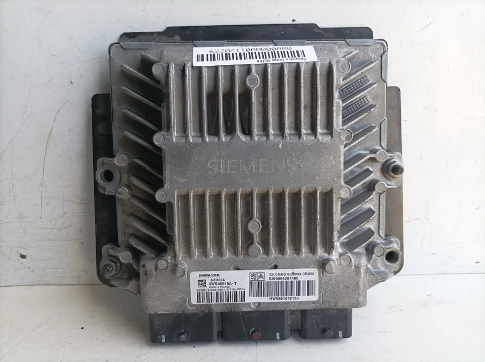 Foto de CENTRALITA MOTOR UCE CITROEN C4 PICASSO 2.0 HDi FAP CAT (RHR / DW10BTED4) (136 CV / 100 KW) referencia SW9664287480