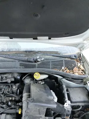 Foto de BRAZO LIMPIA DELANTERO IZQUIERDO CITROEN C4 CACTUS 1.2 12V VTi (82 CV / 60 KW) referencia 1611871480