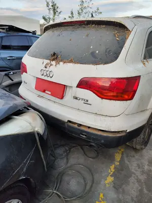 Foto de PORTON TRASERO AUDI Q7 (4L) 3.0 V6 24V TDI (233 CV / 171 KW)