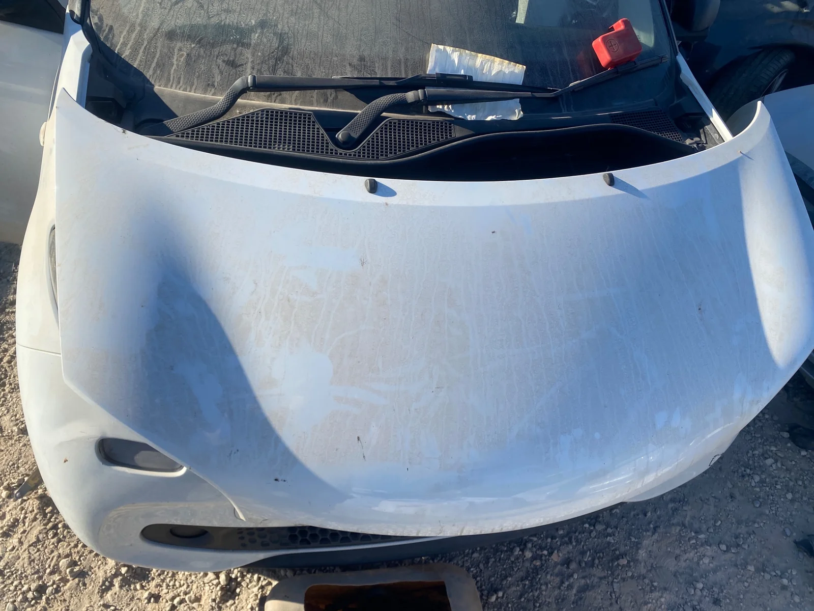 Foto de CAPO SMART FORFOUR