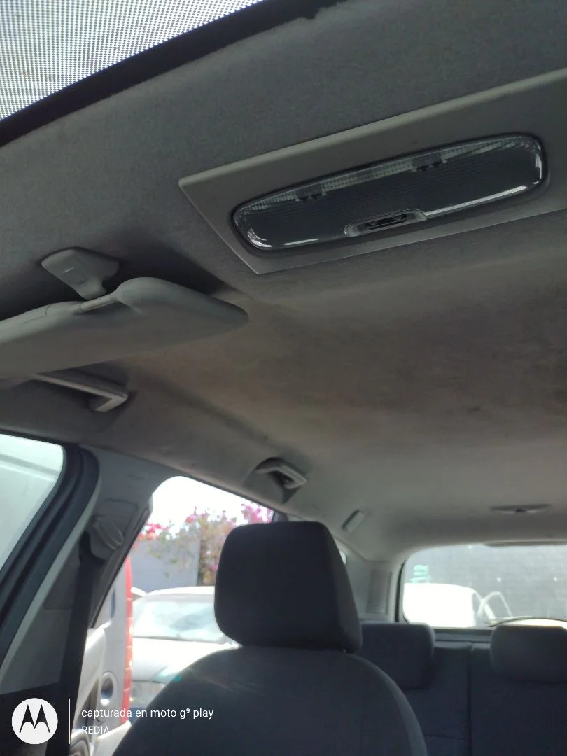 Foto de TECHO INTERIOR FORD FOCUS SPORTBREAK (CAP) 1.6 16V CAT (101 CV / 74 KW) referencia 1751239