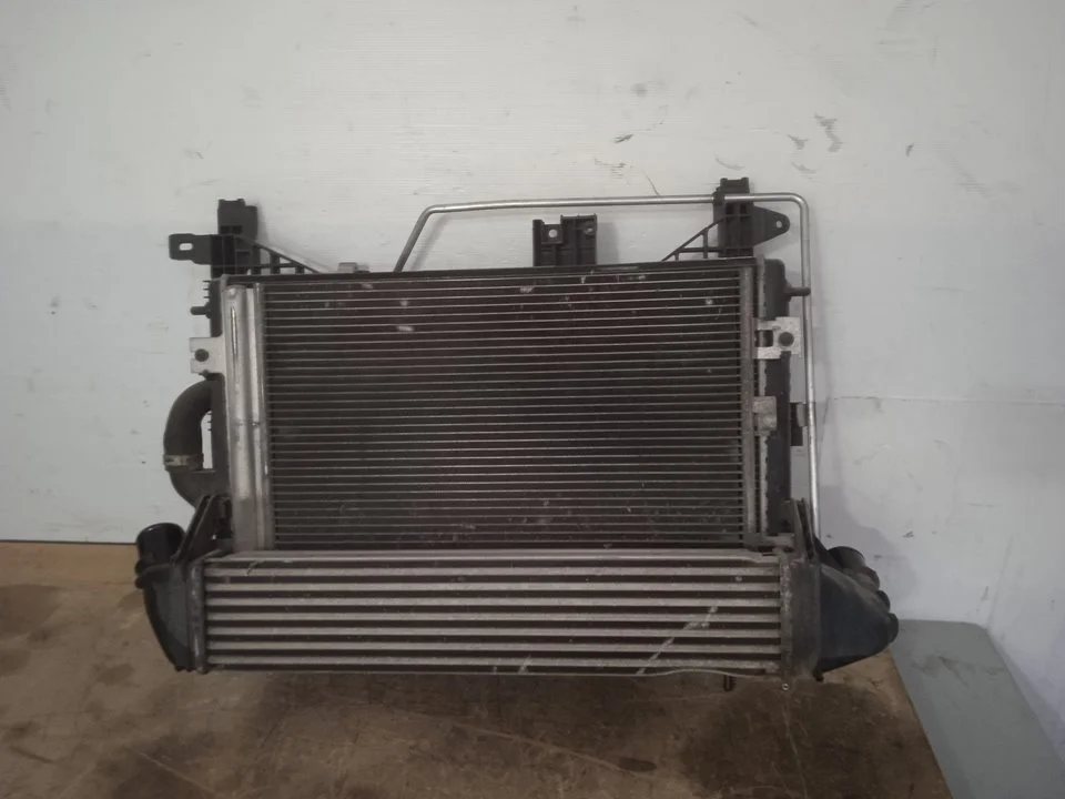 Foto de RADIADOR AGUA DACIA DUSTER I 1.5 dCi Diesel CAT (86 CV / 63 KW) referencia 214100598R