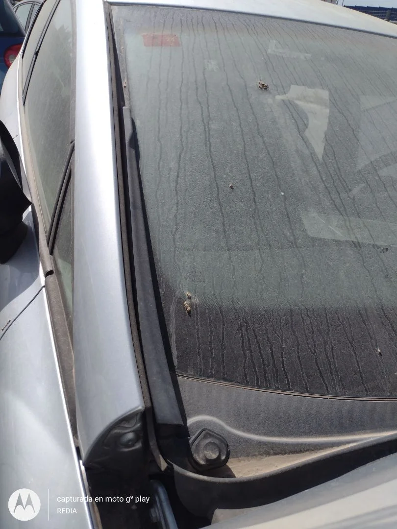 Foto de BRAZO LIMPIA DELANTERO IZQUIERDO SEAT LEON (1P1) 1.9 TDI (105 CV / 77 KW) referencia 1P0955409A FKZ