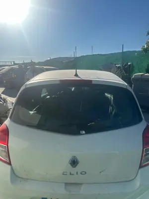 Foto de PORTON TRASERO RENAULT CLIO III 1.5 dCi Diesel (68 CV / 50 KW)
