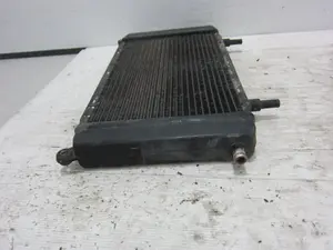 Foto de RADIADOR AGUA JAGUAR XJ 4.0 CAT (320 CV / 235 KW) referencia CCC5918 foto 3