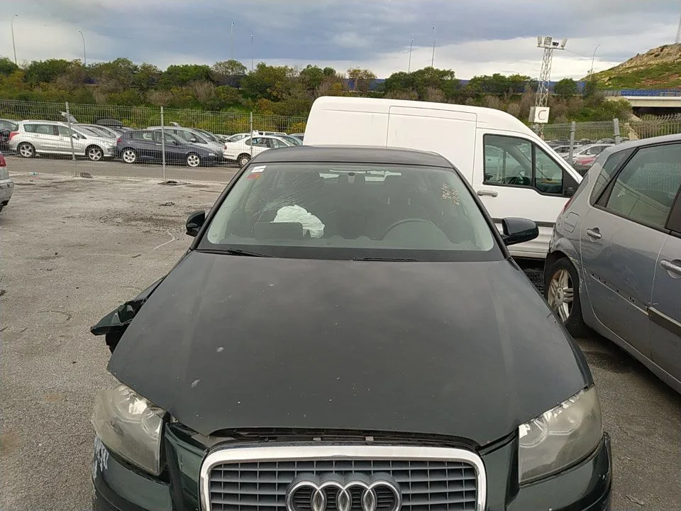 Foto de CAPO AUDI A3 SPORTBACK (8PA) 2.0 TDI (140 CV / 103 KW) referencia 8P4823029B