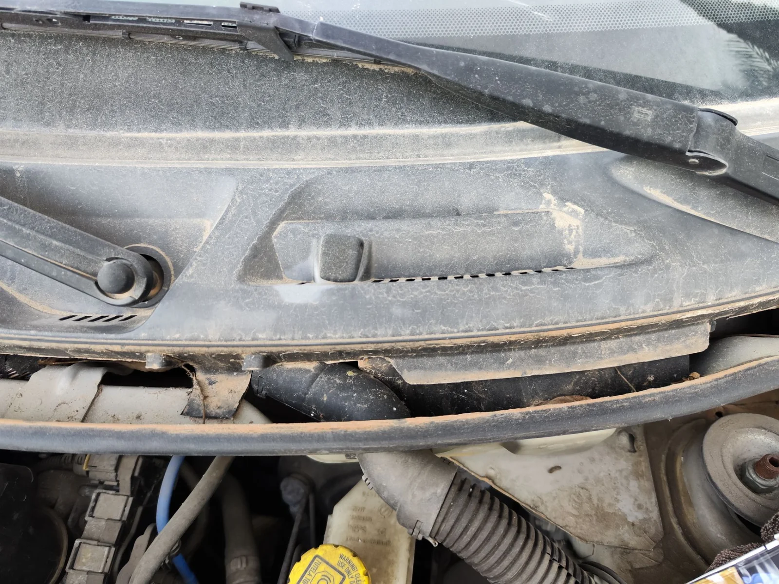 Foto de MOTOR LIMPIA DELANTERO FIAT II PANDA (169) 1.2 CAT (60 CV / 44 KW)