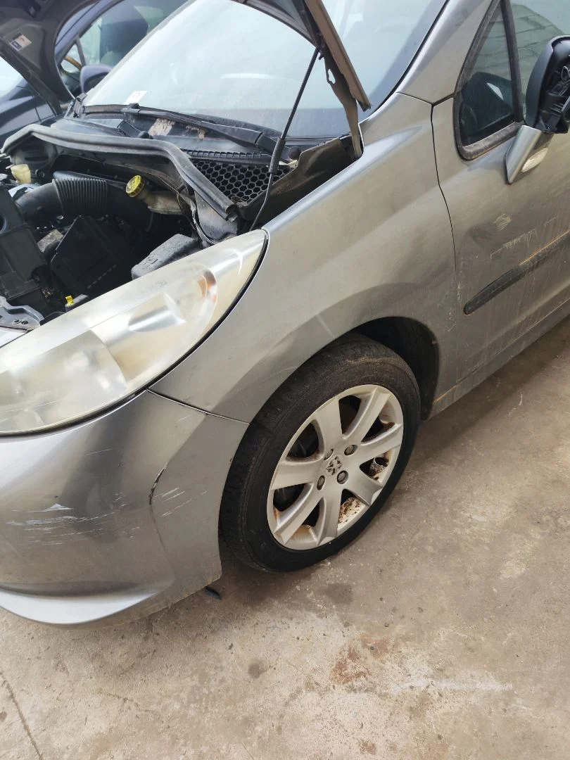 Foto de ALETA DELANTERA IZQUIERDA PEUGEOT 207 CC CABRIO-COUPÉ 1.6 16V (120 CV / 88 KW)