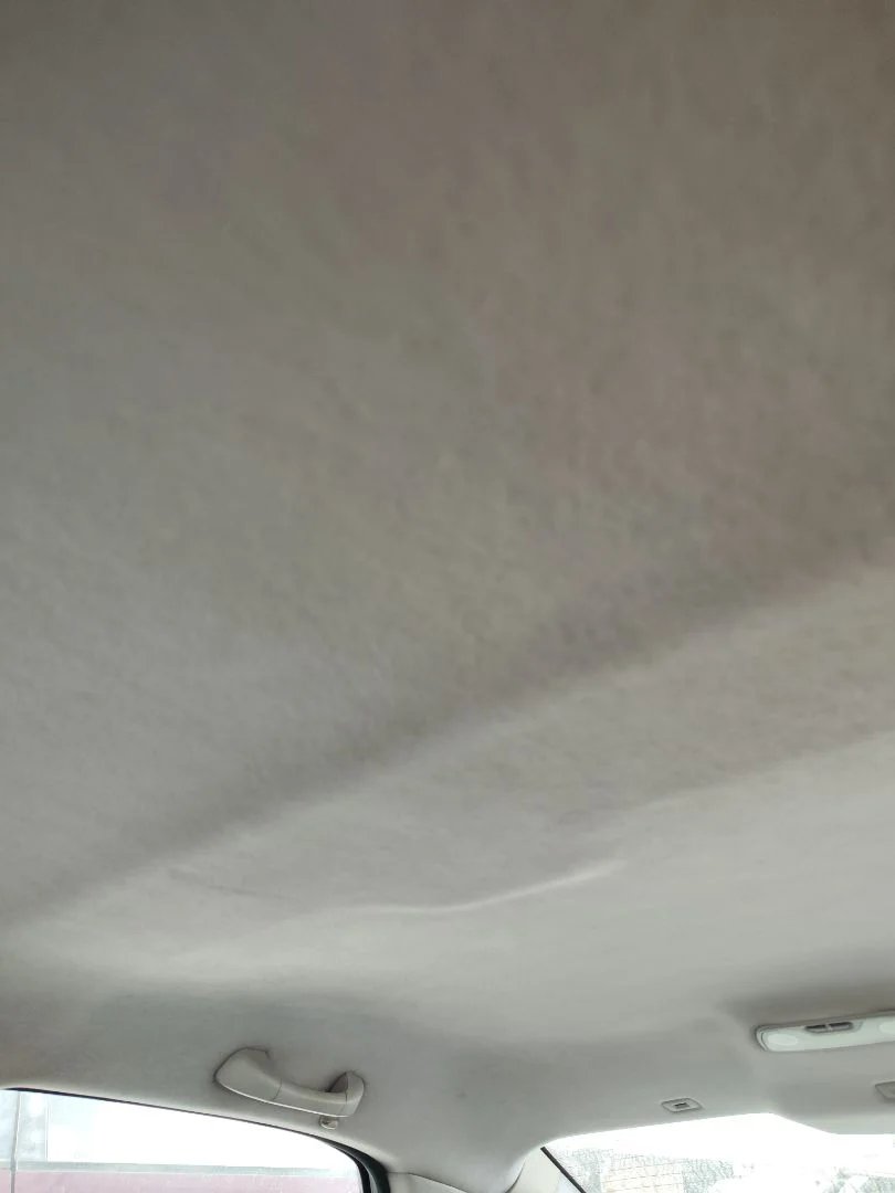 Foto de TECHO INTERIOR VOLVO S80 BERLINA 2.4 CAT (140 CV / 103 KW) referencia 9478011
