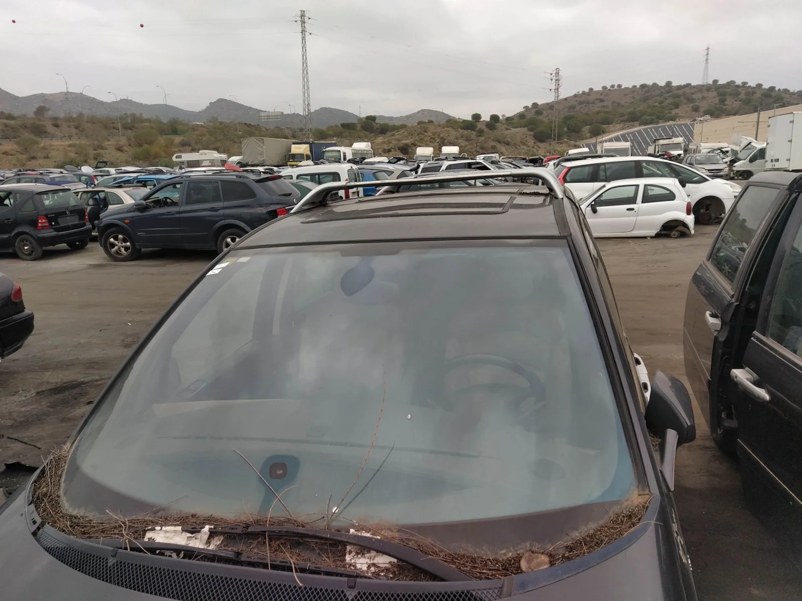 Foto de PARABRISAS PEUGEOT 807 2.2 HDi FAP CAT (4HW) (128 CV / 94 KW)