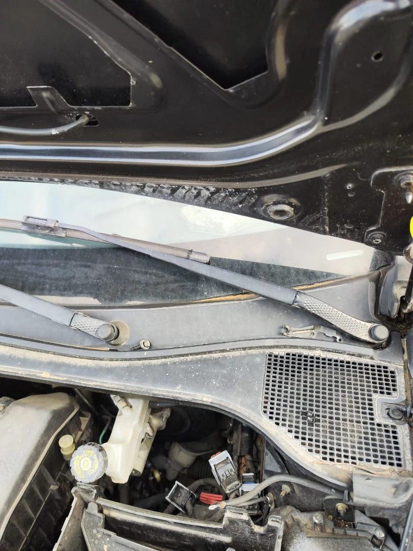 Foto de BRAZO LIMPIA DELANTERO IZQUIERDO RENAULT CLIO III 1.2 16V (75 CV / 55 KW)