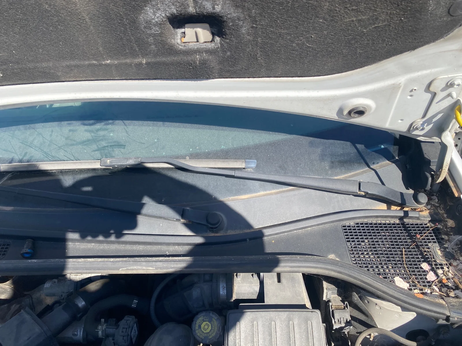Foto de BRAZO LIMPIA DELANTERO IZQUIERDO RENAULT CLIO III 1.5 dCi Diesel (68 CV / 50 KW)