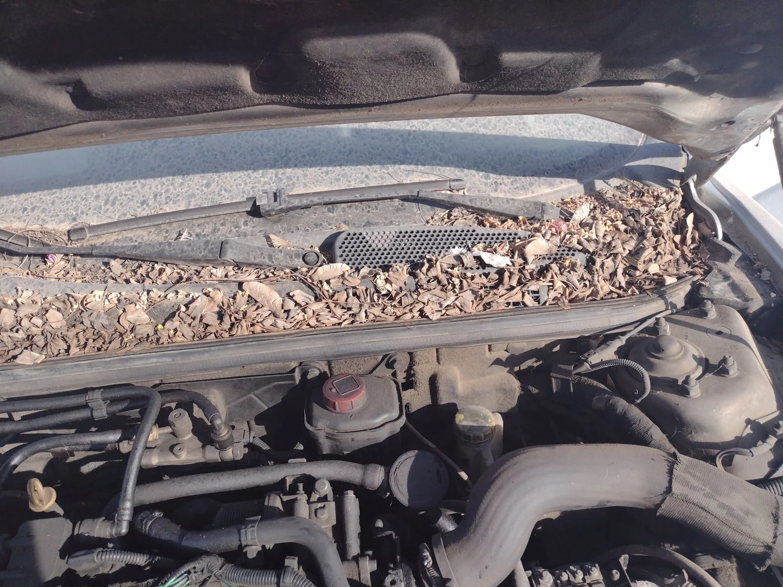 Foto de MOTOR LIMPIA DELANTERO ALFA ROMEO GT (125) 1.9 JTD (M) 16V CAT (150 CV / 110 KW) referencia 0077363947