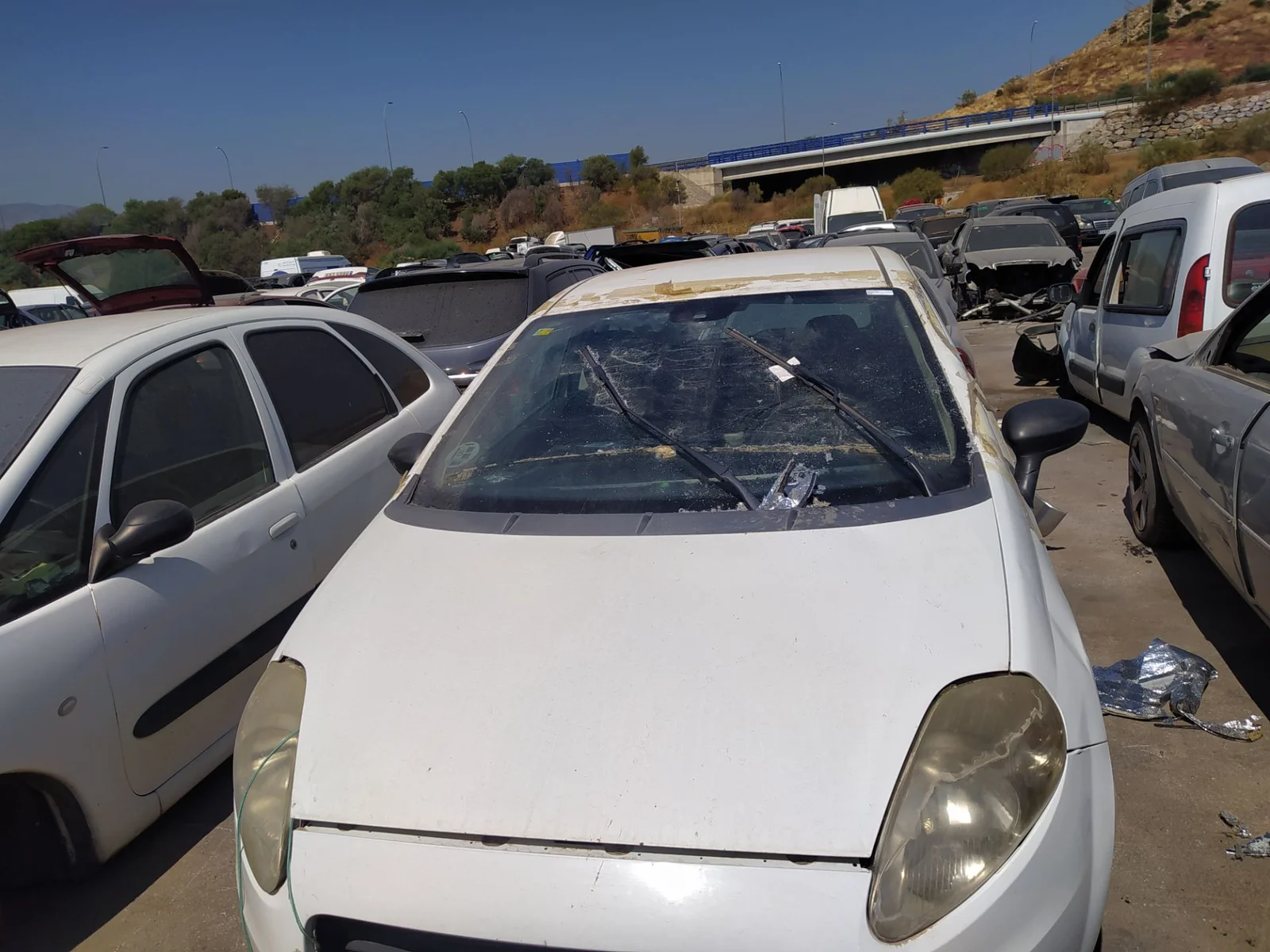 Foto de CAPO FIAT GRANDE PUNTO (199) 1.3 16V JTD CAT (75 CV / 55 KW) referencia 0051701140