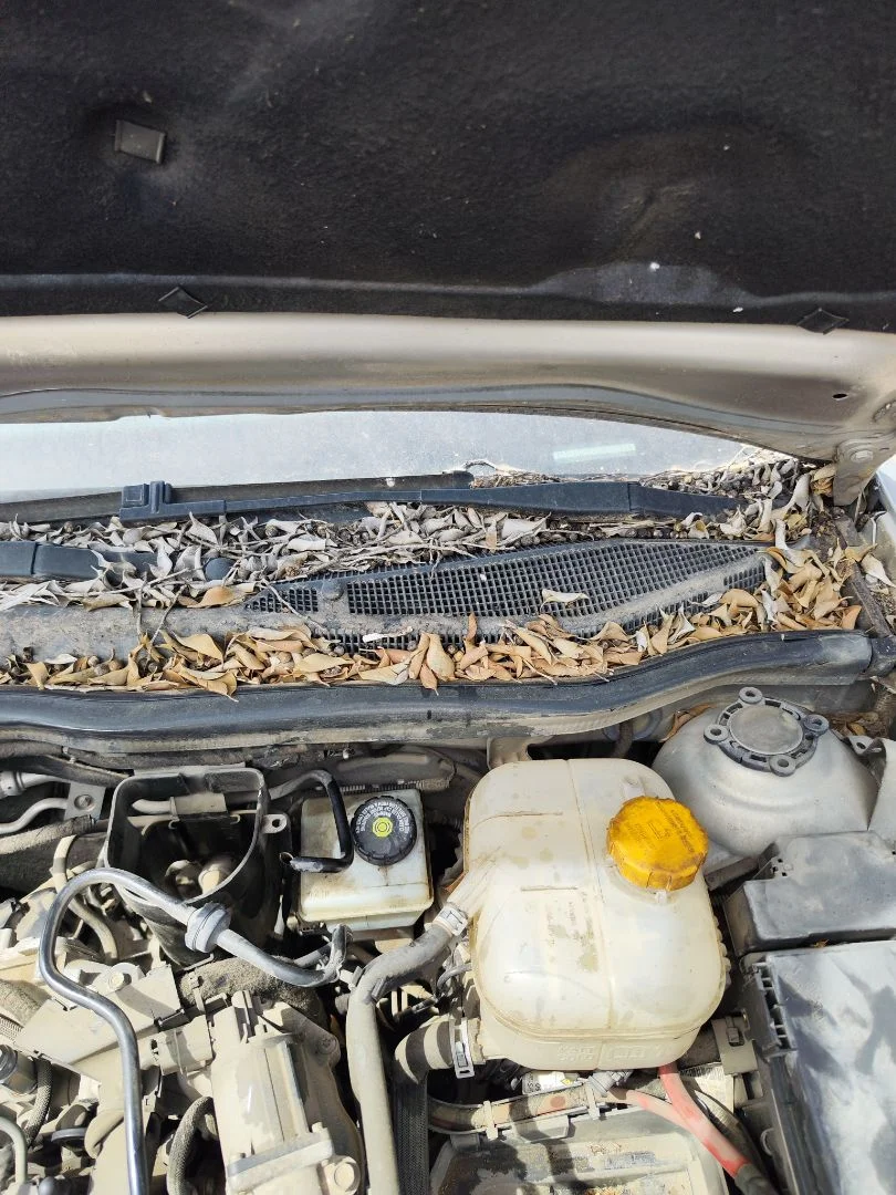 Foto de MOTOR LIMPIA DELANTERO OPEL ASTRA H BERLINA 1.7 16V CDTI (110 CV / 81 KW) referencia 93179149