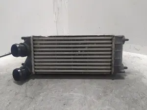 Foto de INTERCOOLER CITROEN C4 PICASSO 1.6 HDi FAP (112 CV / 82 KW) referencia 9684212480