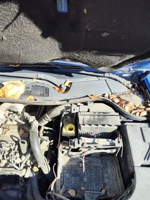 Foto de ARTICULACION LIMPIA DELANTERA RENAULT MEGANE II BERLINA 5P 1.5 dCi Diesel (101 CV / 74 KW)