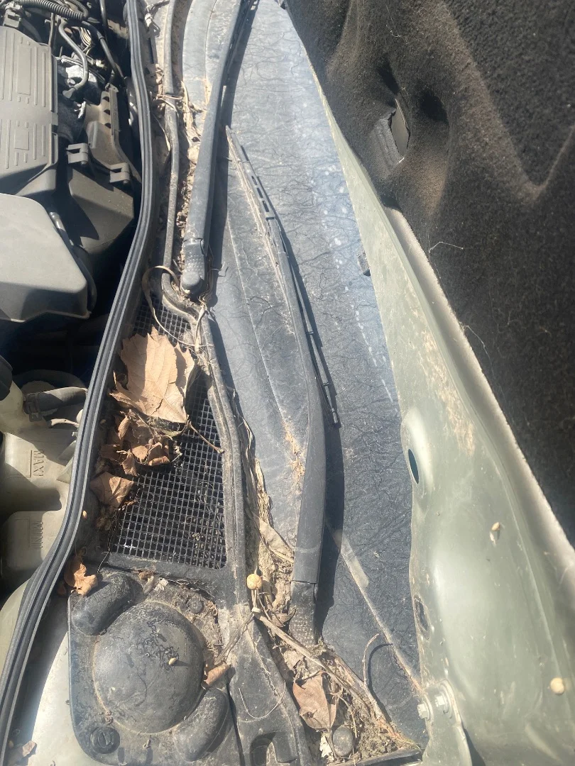 Foto de BRAZO LIMPIA DELANTERO IZQUIERDO RENAULT LAGUNA II (BG0) 2.0 (135 CV / 99 KW) referencia 7701049033