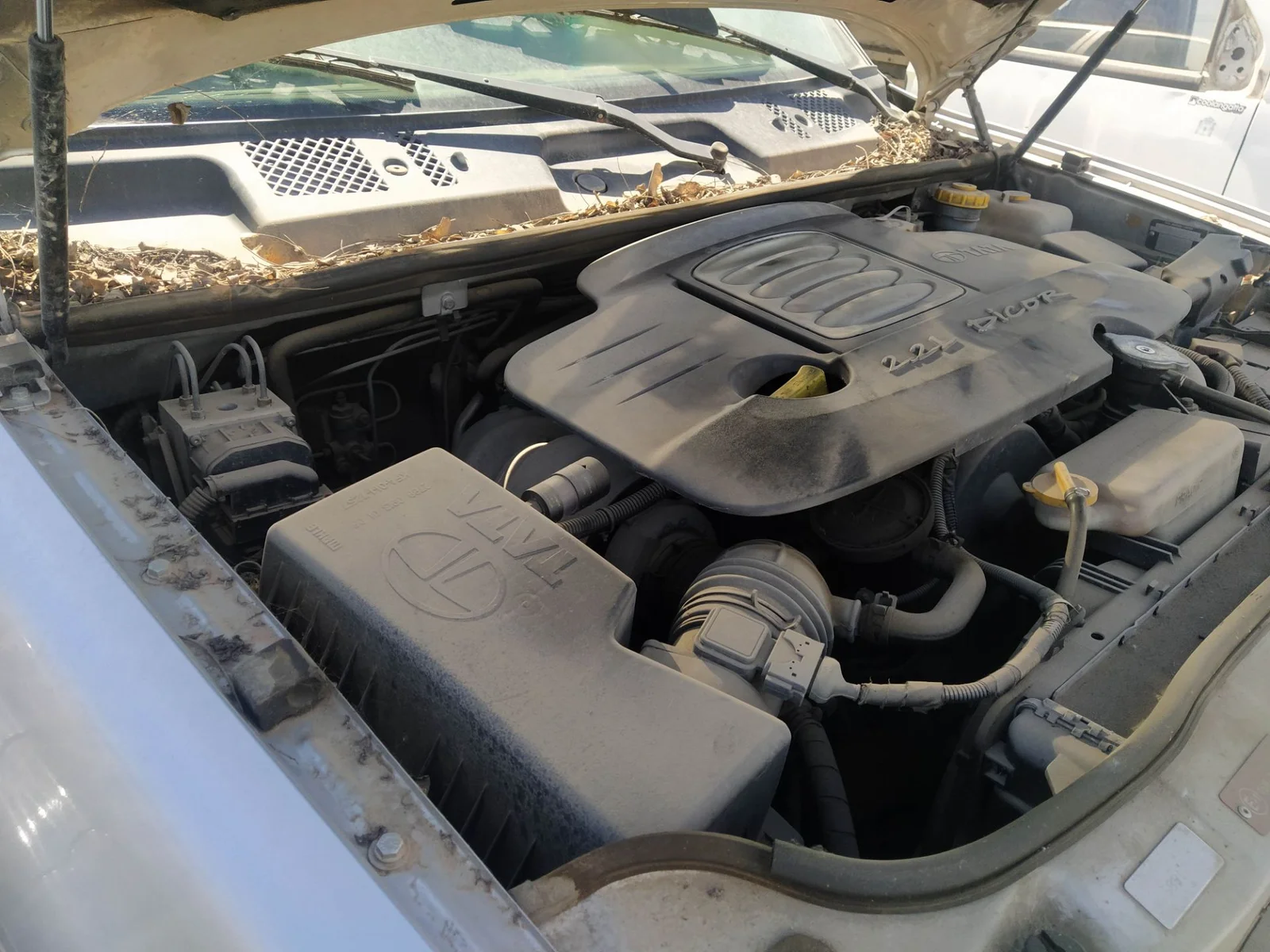 Foto de INTERCOOLER TATA SAFARI (1998) 3.0 TDI (114 CV / 84 KW) referencia 254714609929