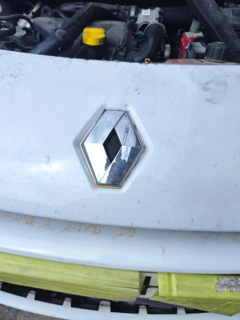 Foto de REJILLA DELANTERA RENAULT CLIO III 1.5 dCi Diesel FAP (75 CV / 55 KW)