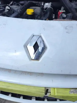 Foto de REJILLA DELANTERA RENAULT CLIO III 1.5 dCi Diesel FAP (75 CV / 55 KW)