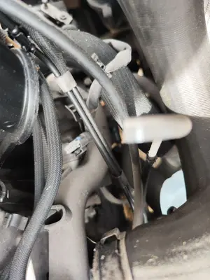 Foto de MOTOR ARRANQUE PEUGEOT 307 BREAK/ SW (S2) 2.0 16V HDi FAP CAT (RHR / DW10BTED4) (136 CV / 100 KW)