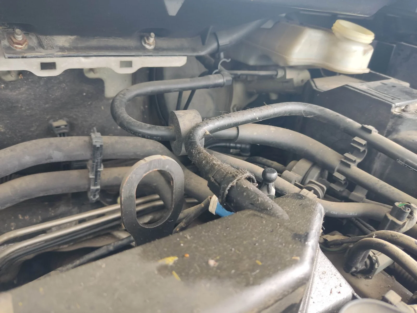 Foto de SERVOFRENO FORD FOCUS BERLINA (CAP) 1.8 Flexifuel CAT (125 CV / 92 KW) referencia 1742032