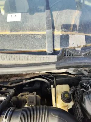 Foto de BRAZO LIMPIA DELANTERO DERECHO VOLKSWAGEN GOLF V (1K1)(10.2003) 1.4 16V TSI (170 CV / 125 KW) referencia 1K5955410B FKZ