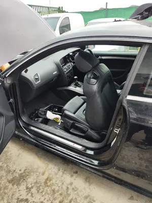 Foto de GOMAS CONTORNO PUERTA AUDI A5 COUPE (8T) 2.0 16V TDI (170 CV / 125 KW)