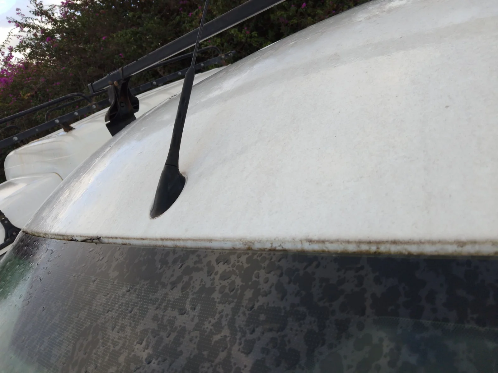 Foto de BASE DE ANTENA FORD TRANSIT COURIER (C4A) 1.5 TDCi CAT (95 CV / 70 KW)