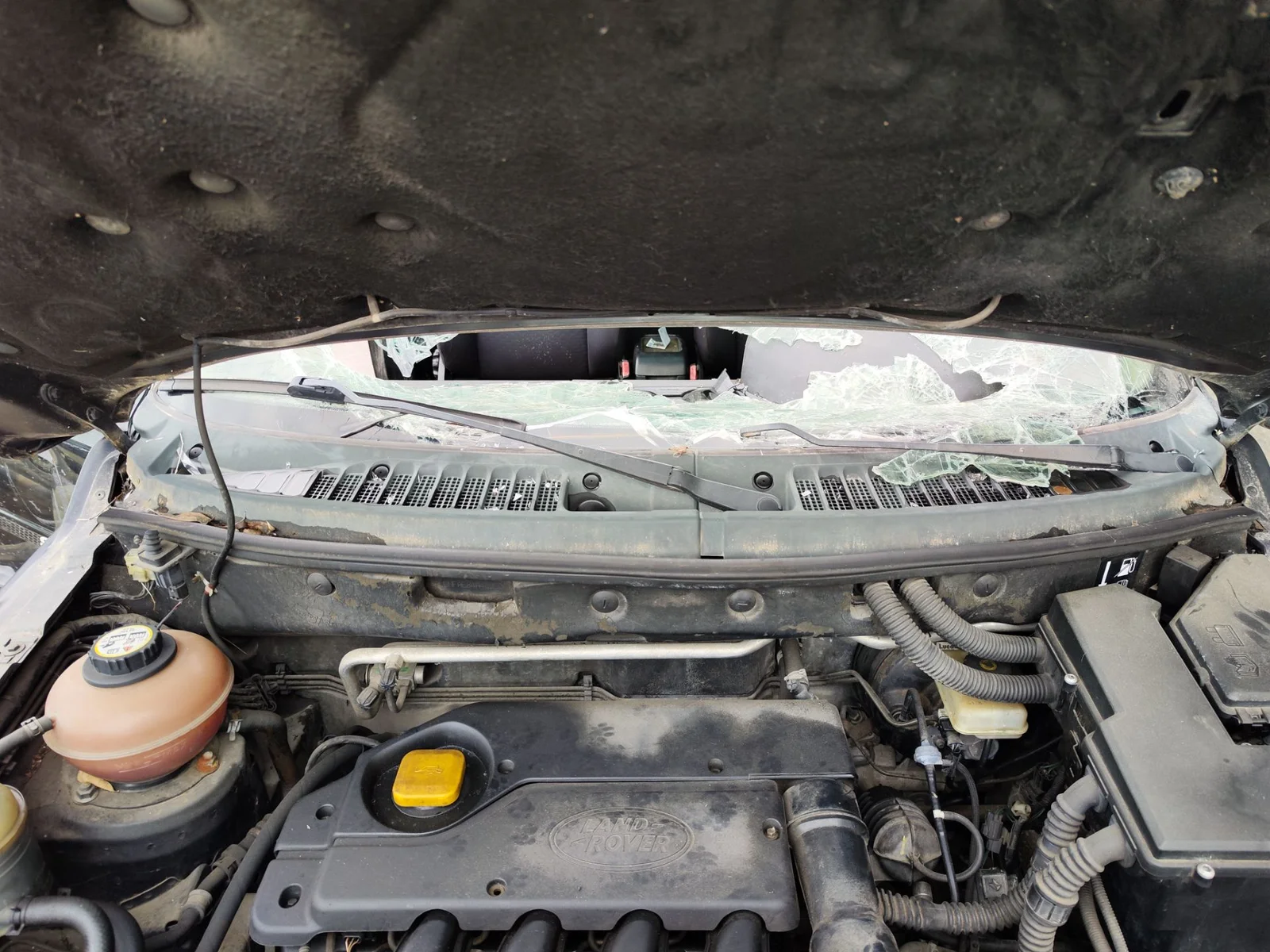 Foto de TORPEDO LAND ROVER FREELANDER (LN) 2.0 Td4 CAT (109 CV / 80 KW)