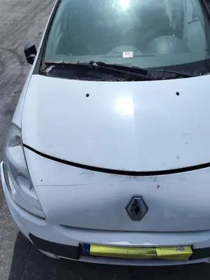 Foto de CAPO RENAULT CLIO III 1.2 16V (75 CV / 55 KW) foto 4