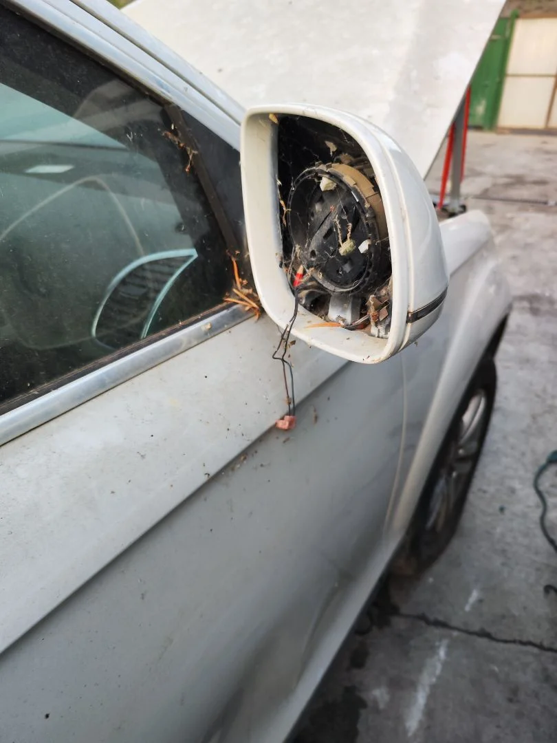 Foto de RETROVISOR DERECHO AUDI Q7 (4L) 3.0 V6 24V TDI (233 CV / 171 KW)
